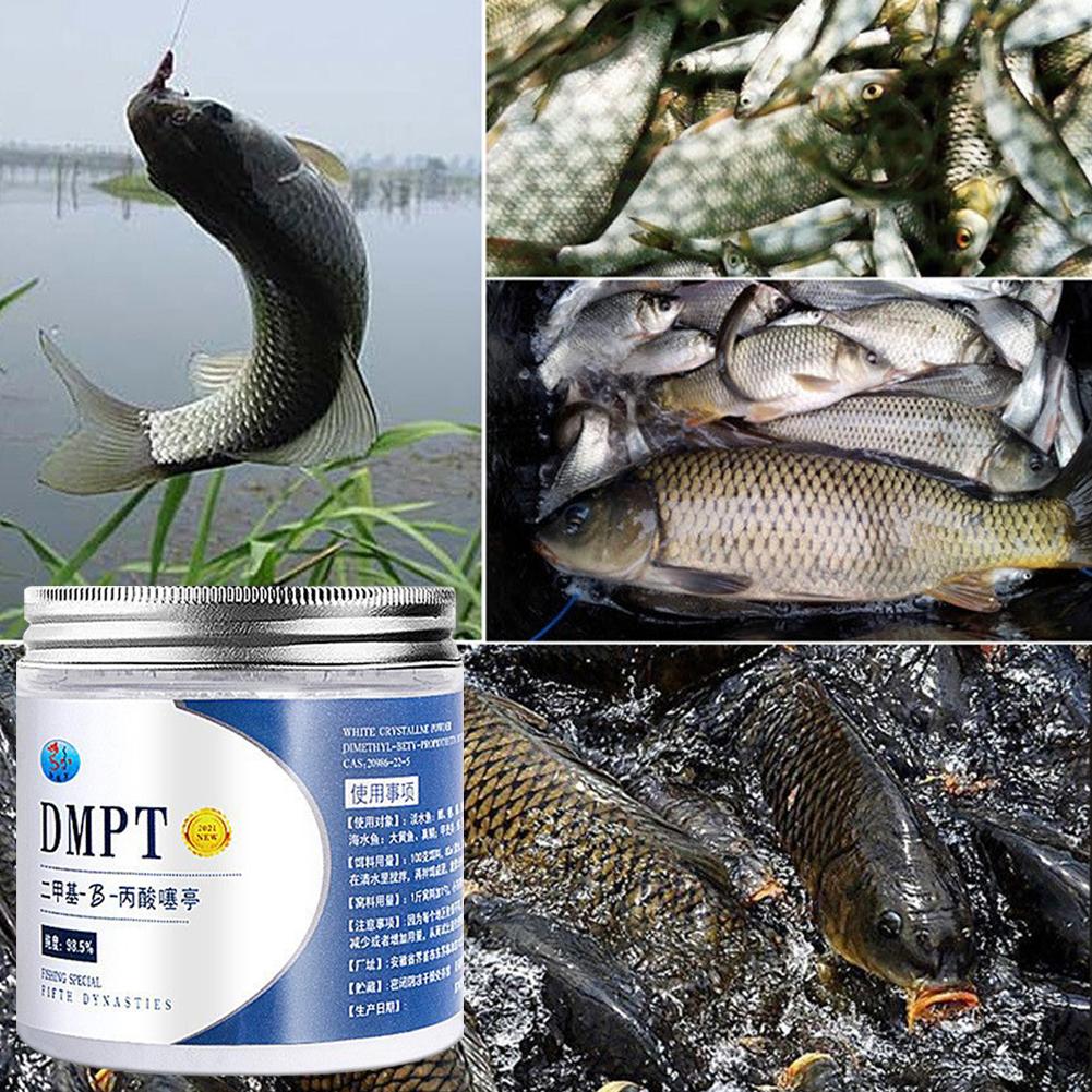 50g asli DMPT kemurnian tinggi - Fishing Equipment For Sale ulasan dan harga